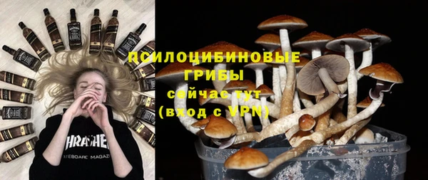 2c-b Алексин