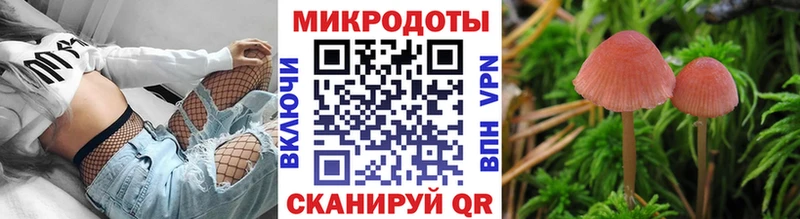Галлюциногенные грибы прущие грибы  Ковылкино 